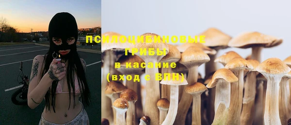 винт Армянск