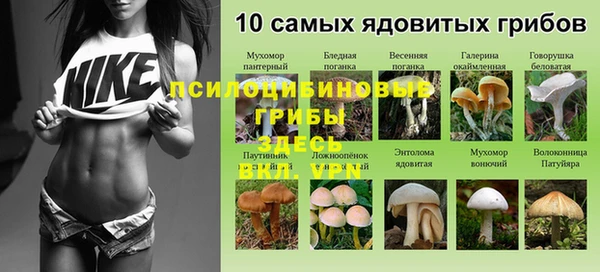ALPHA-PVP Арсеньев