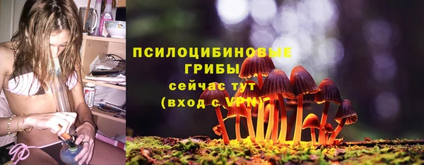 винт Армянск