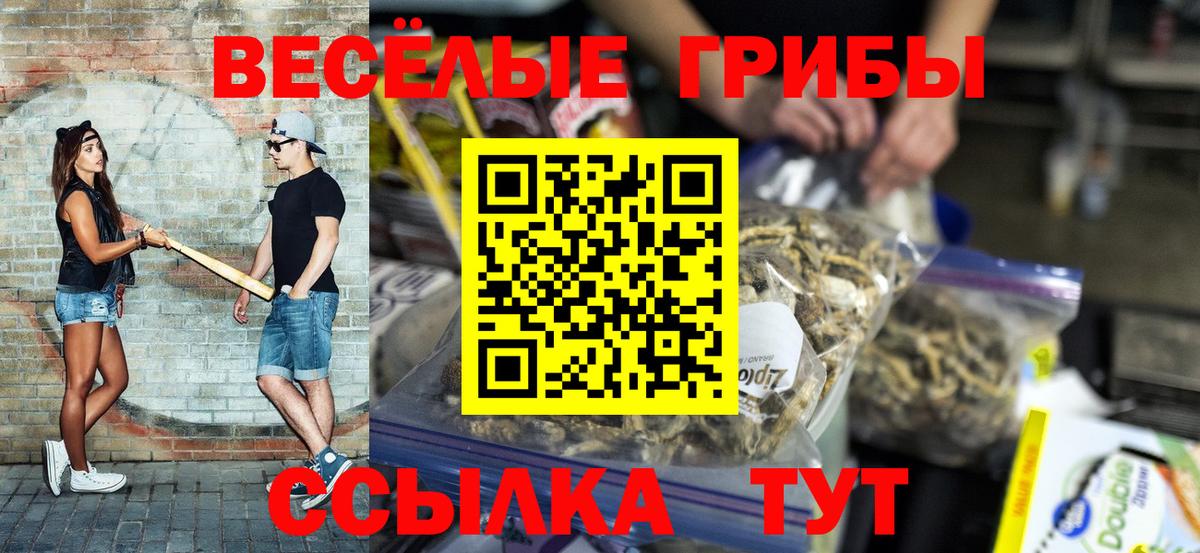 Галлюциногенные грибы MAGIC MUSHROOMS Моздок
