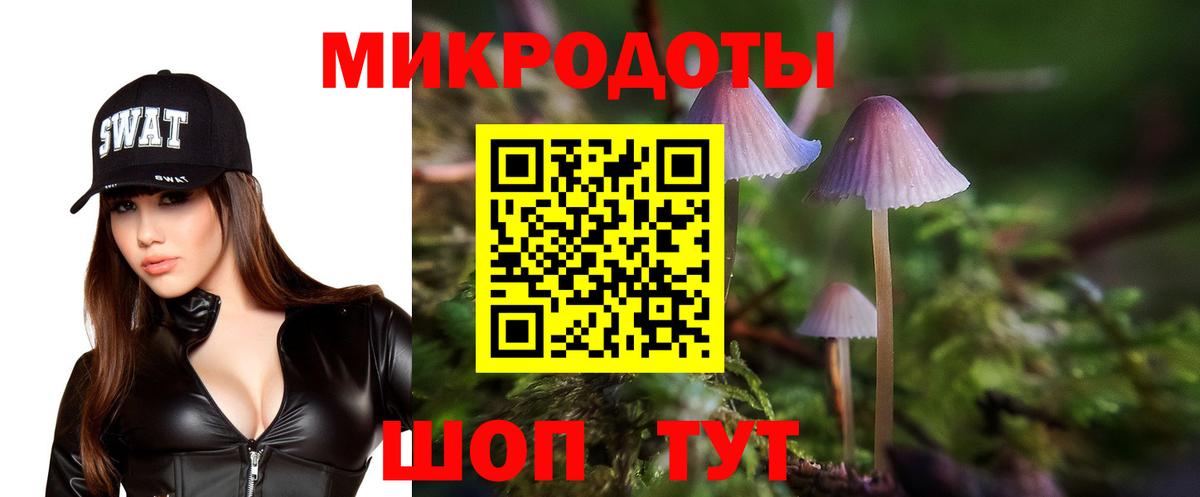 Галлюциногенные грибы прущие грибы  Псилоцибиновые грибы MAGIC MUSHROOMS  Моздок  Вход с VPN 